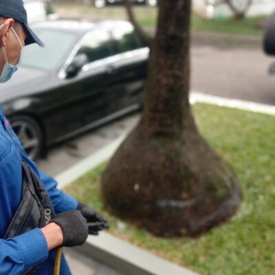Jasa Pest Control Jakarta Depok Bogor Bekasi